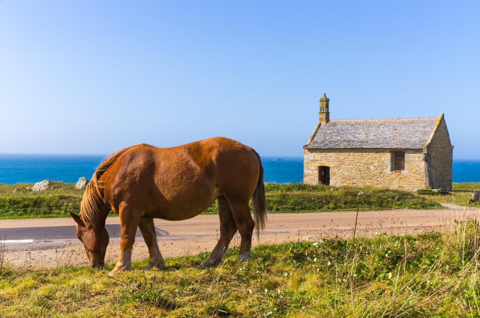 Ty Mor Bras - Maison Familiale A 2 Pas De La Plage Portsall Dış mekan fotoğraf